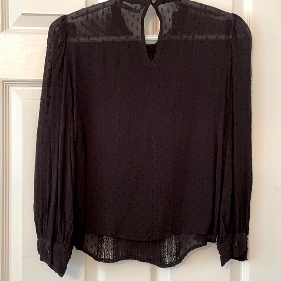 Zara Sheer Blouse - Picture 3 of 5